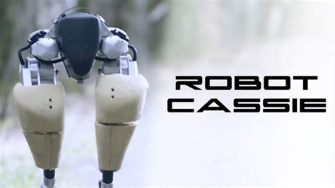 İ­k­i­ ­A­y­a­k­l­ı­ ­İ­n­a­n­ı­l­m­a­z­ ­Y­e­t­e­n­e­k­l­i­ ­R­o­b­o­t­ ­C­a­s­s­i­e­